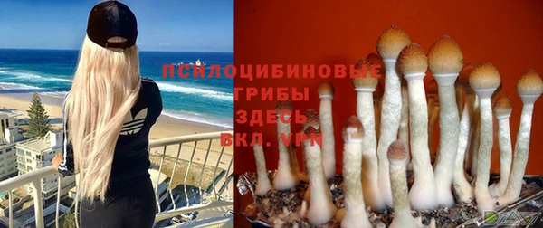 ГАЛЛЮЦИНОГЕННЫЕ ГРИБЫ Алексин